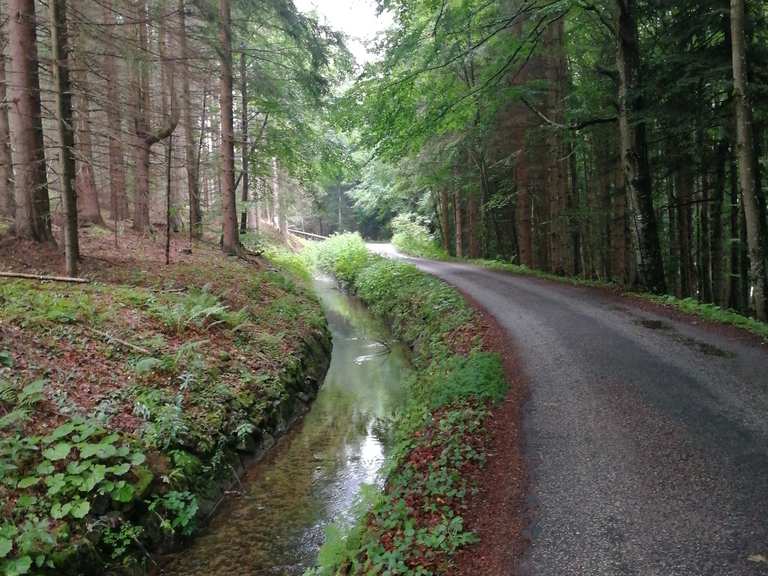 Schwarzenberger Schwemmkanal - Cycle Routes and Map | Komoot