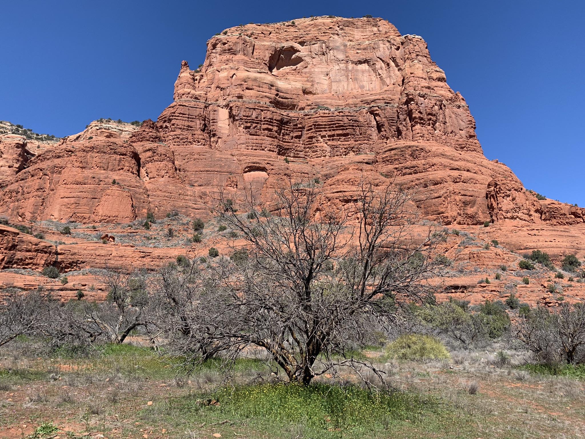 Large red rock formation dominates the frame, with sparse desert trees.