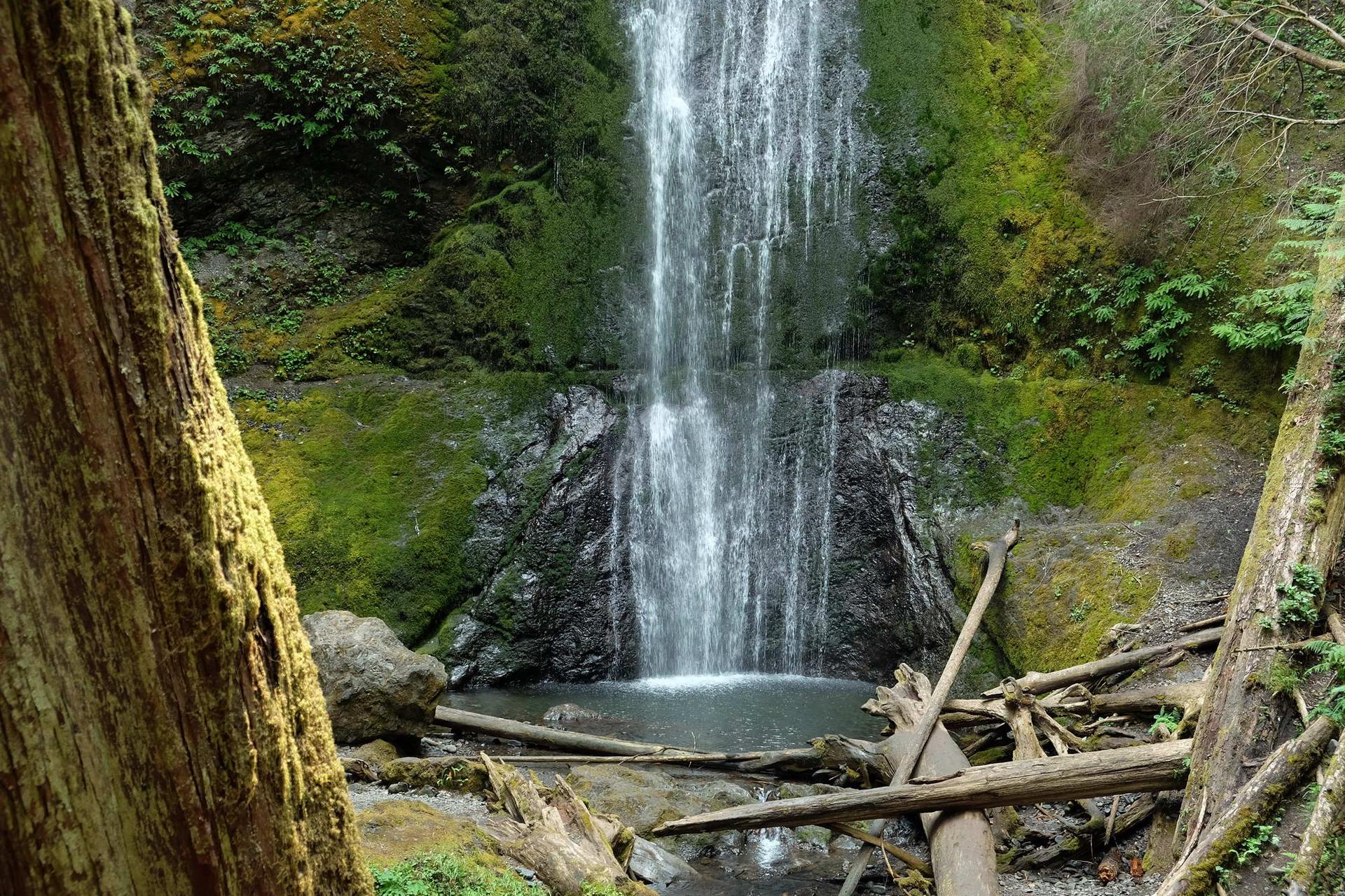 Waterfall plunging into a pool, framed by mossy rocks and fallen logs.