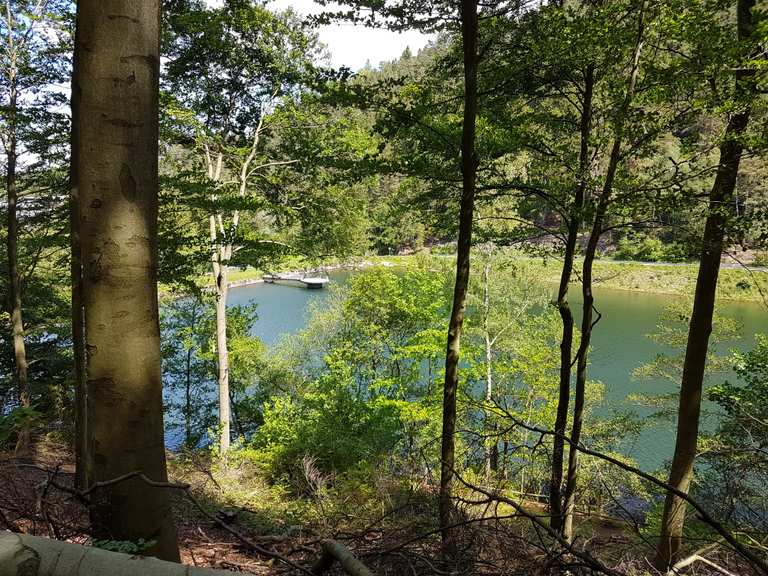 Aussichtspunkt Brockenblick Zankwieser Teich Runde von Oker