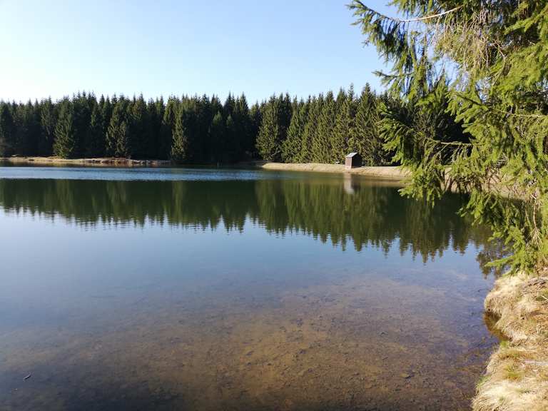 31+ Oberer Hahnebalzer Teich, 6,02 km in 01:38 std.