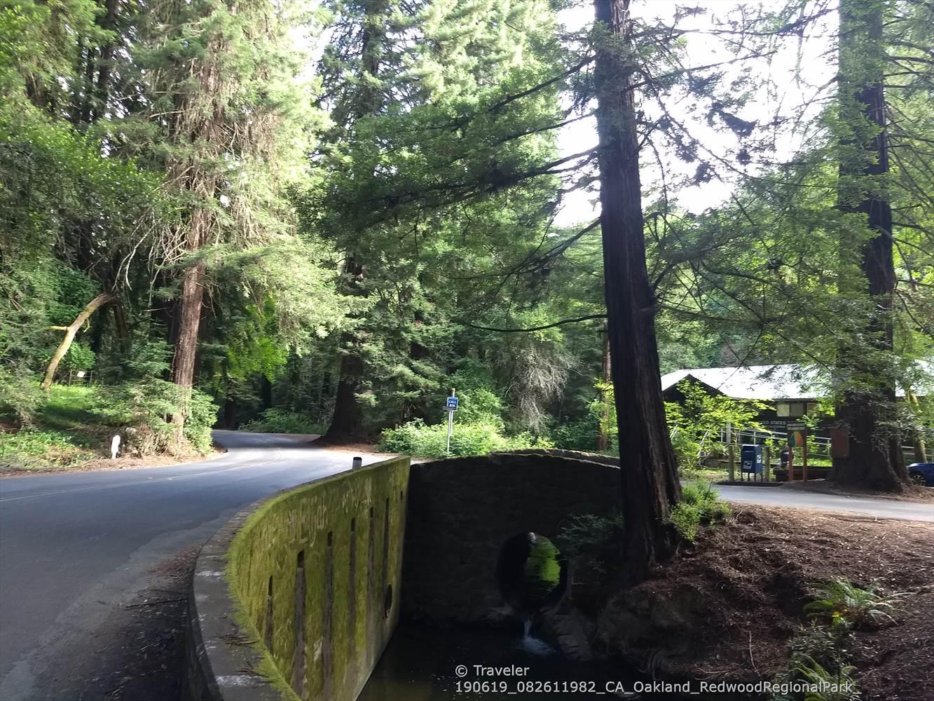 A paved road curves past a mossy stone bridge in a dense forest.