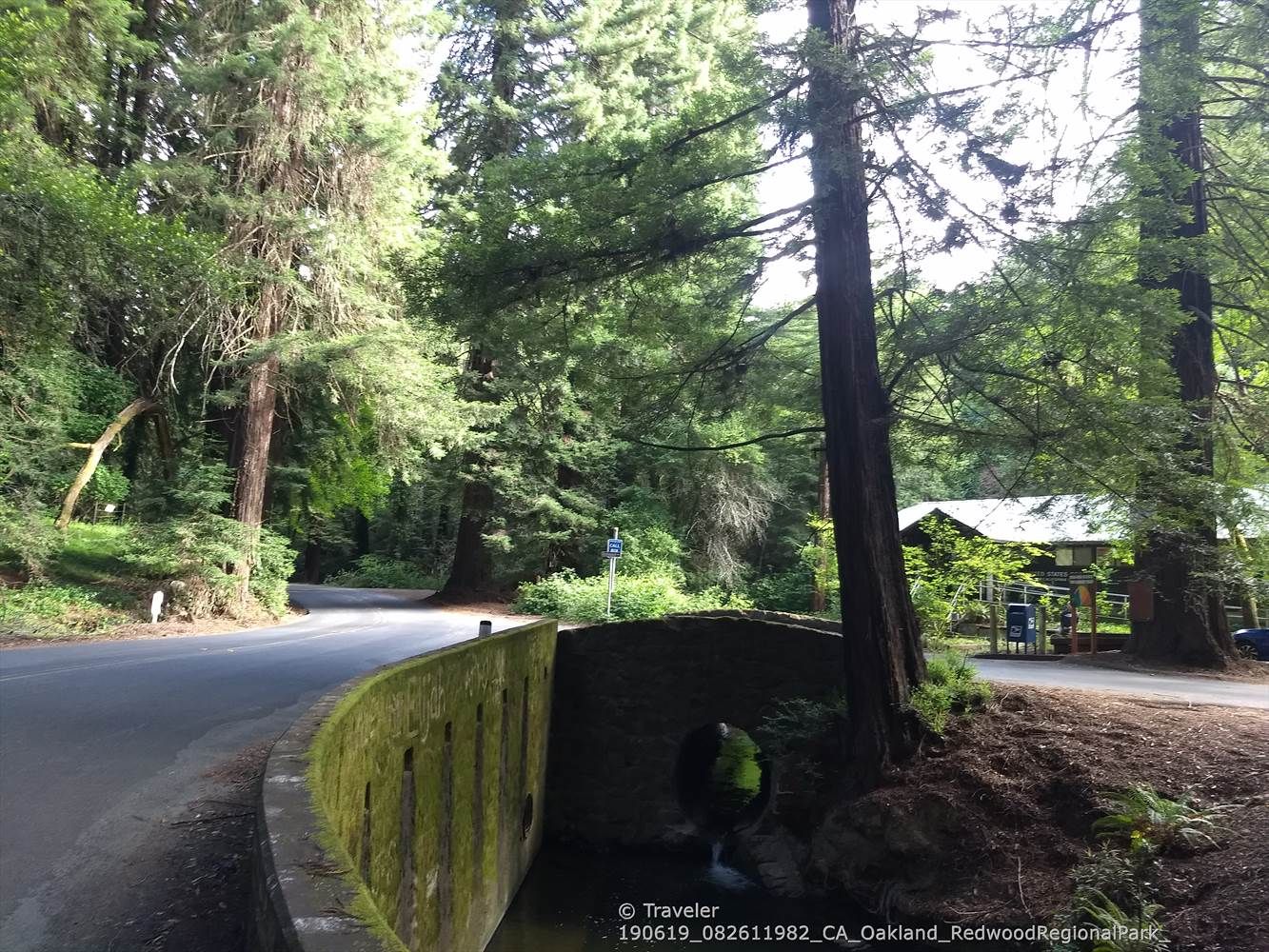 A paved road curves past a mossy stone bridge in a dense forest. - Redwood Double Loop from North Oakland