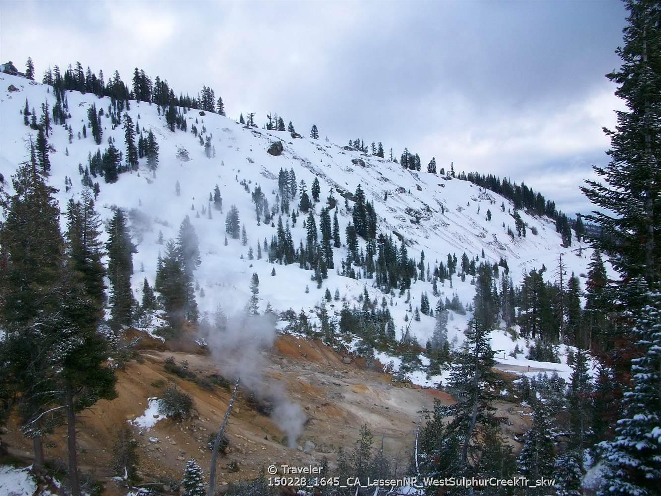 Snowy mountain slope with evergreen trees and steam rising from the ground.