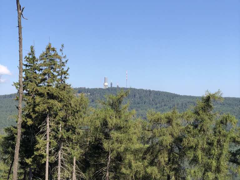 Blick zum Feldberg Wanderungen und Rundwege komoot