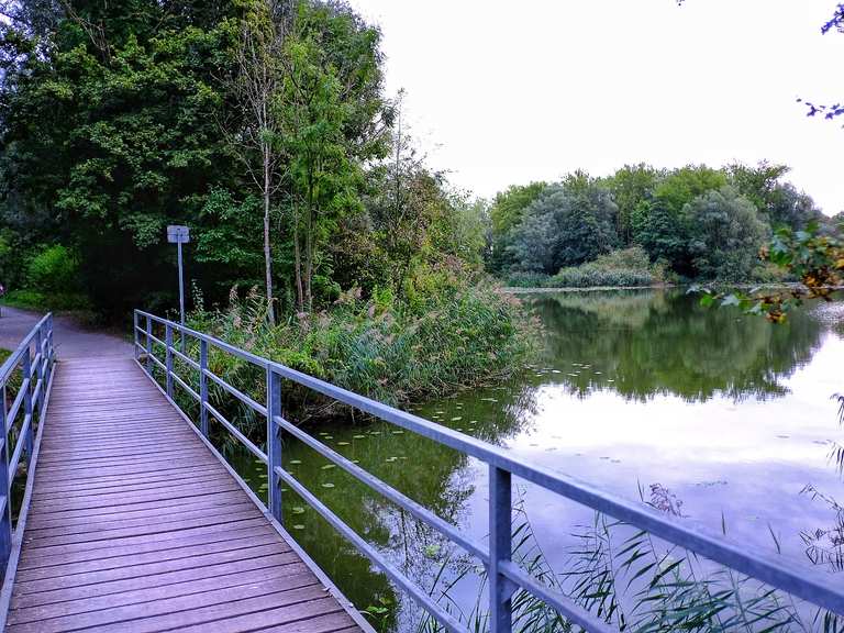 55+ Hemminger Teich Hemmingen, Der große hemminger teich (auch