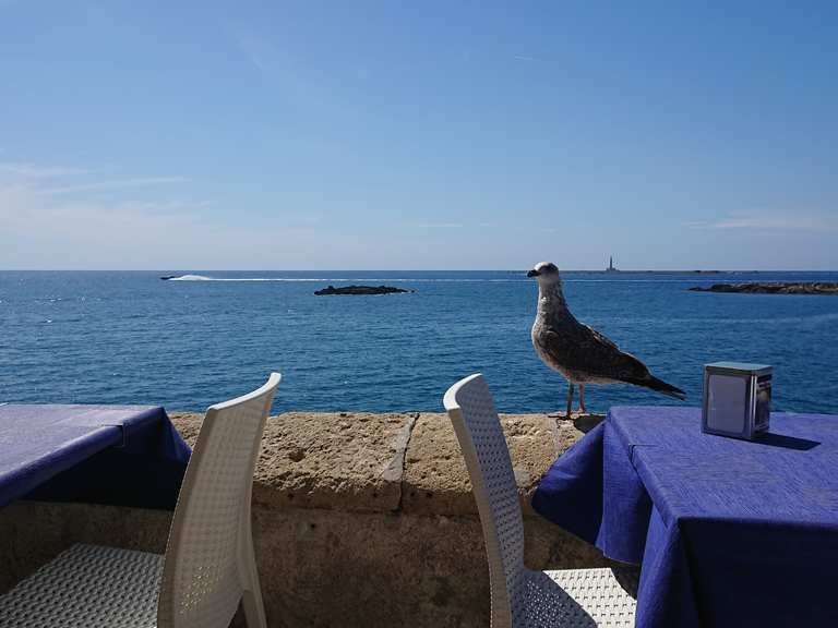 Buena Vista Gallipoli Lighthouse View Circuit à partir de Gallipoli