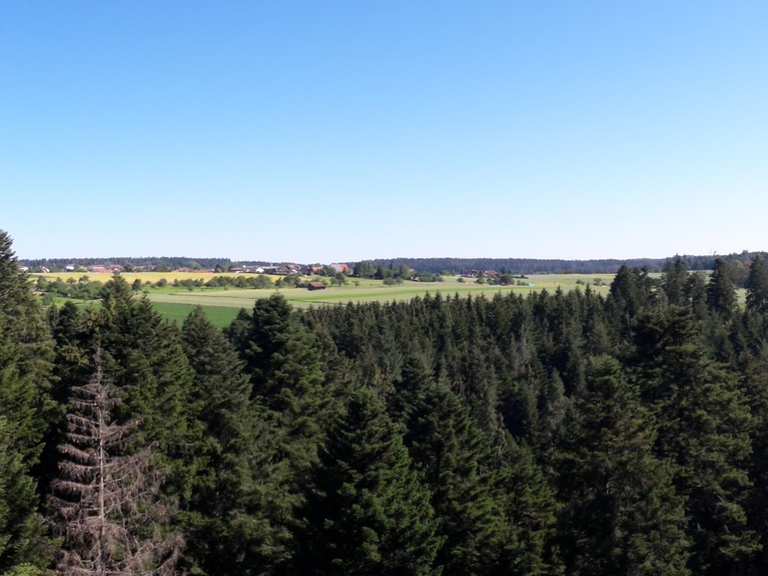 Ruine Mandelberg - Pfalzgrafenweiler, Freudenstadt | Wandertipps