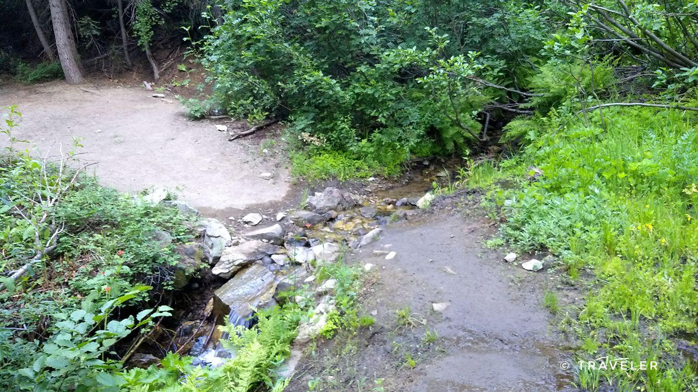 Two dirt paths meet at a small rocky stream in a lush green forest.
