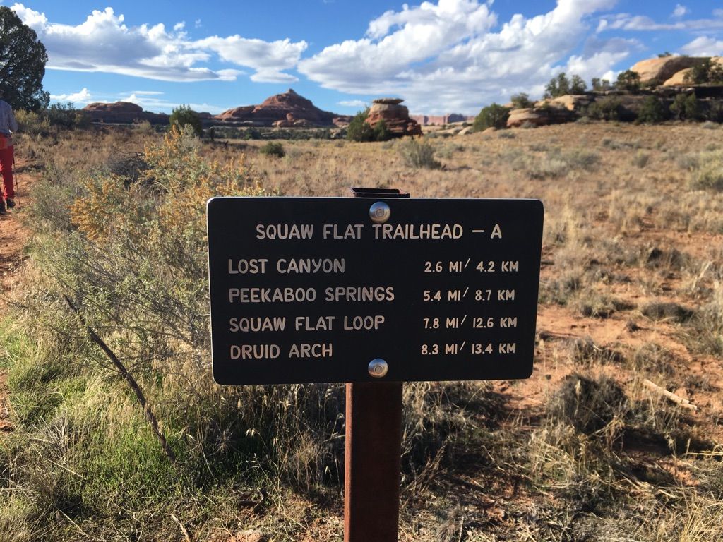 A trail sign in a desert landscape under a partly cloudy sky. - Squaw Flat Trailhead loop from Salt Flat Trailhead