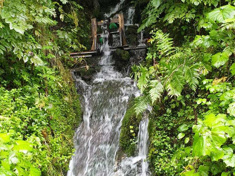 Talbachklamm Wanderungen und Rundwege komoot