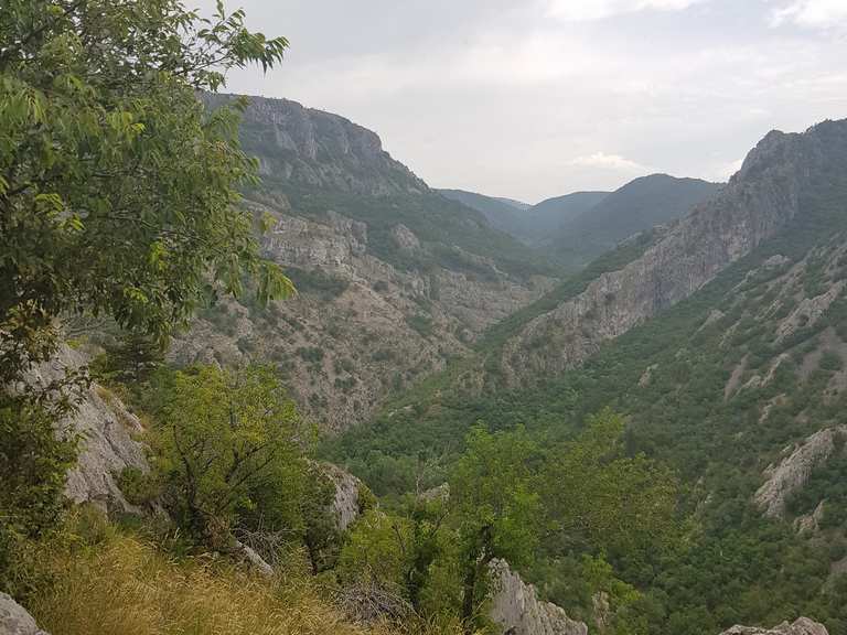 Vedetta di Mocco