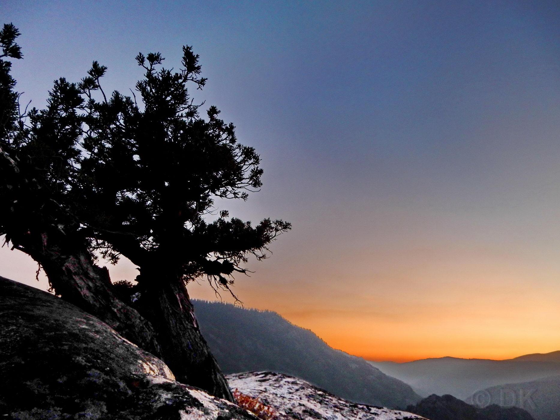 A silhouetted tree on a rocky outcrop overlooks a mountain range at sunset.