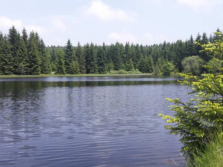 Wüster Teich wandelroutes en hikes Komoot
