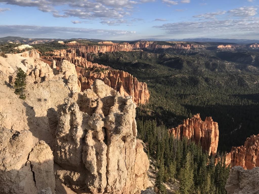 Panoramic view of sunlit red rock formations and green forests.