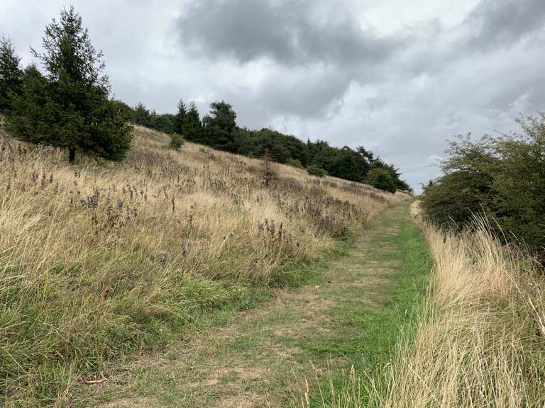 Bömighäuser Teich Panoramaweg Runde von Usseln Wanderung Komoot