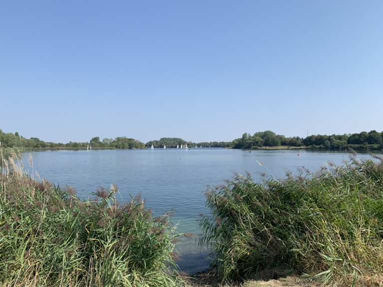Sorsum Hildesheimer Wald Giftener See Runde von Sarstedt Rennrad