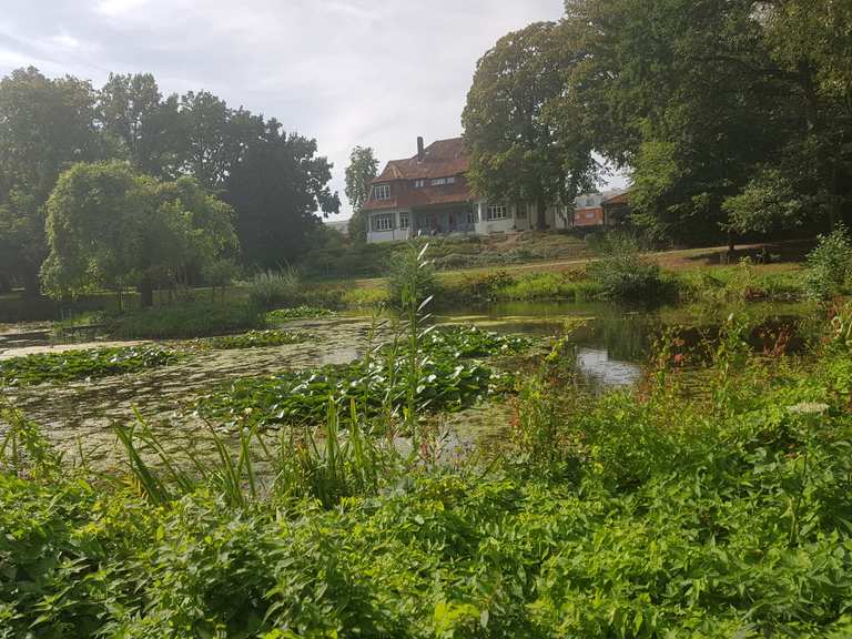 Hinüberscher Garten Niedersachsen, Deutschland