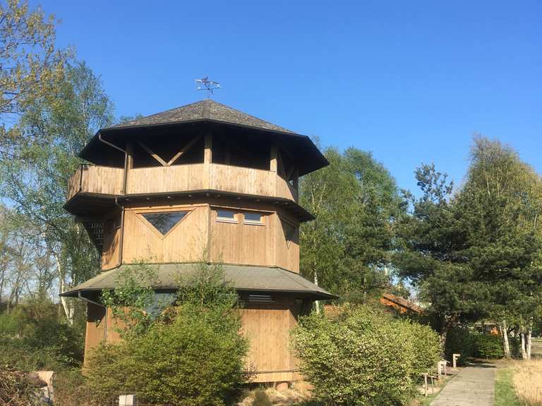 Haus Im Moor Hartensbergsee In Goldenstedt Runde Von Goldenstedt