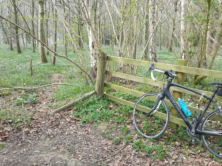 Hollybank Lane Cycle Routes and Map Komoot
