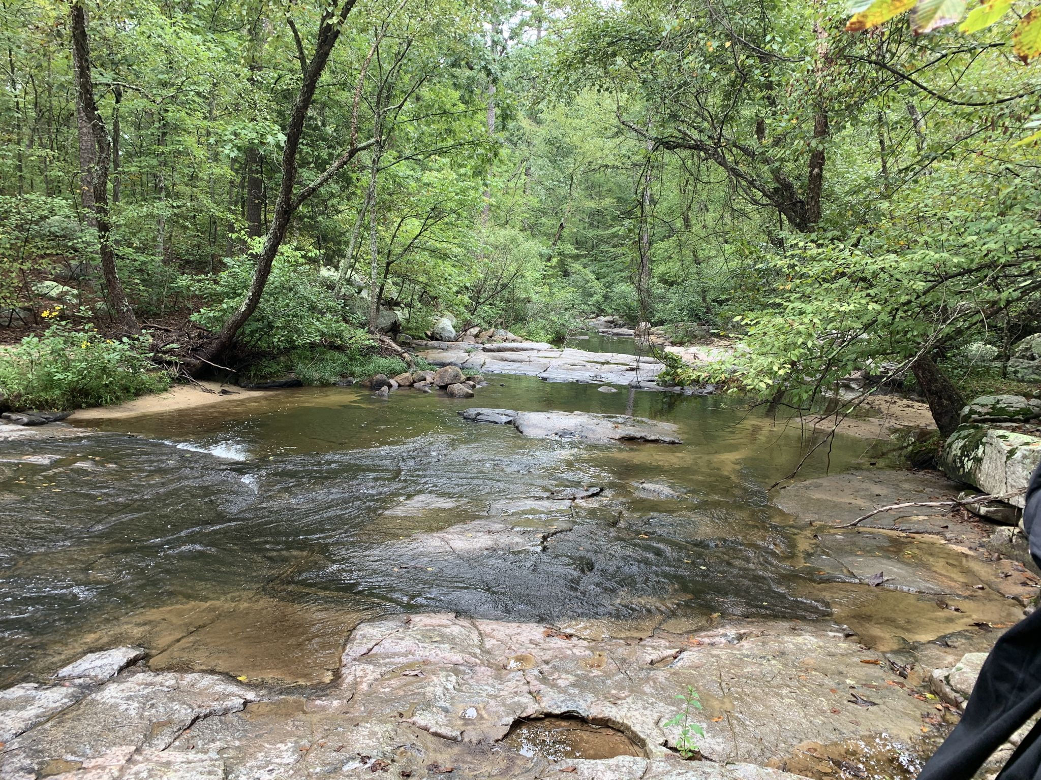 A calm stream flows over rocky beds through a lush green forest. - Whispering Pine Trail: North and South Loops
