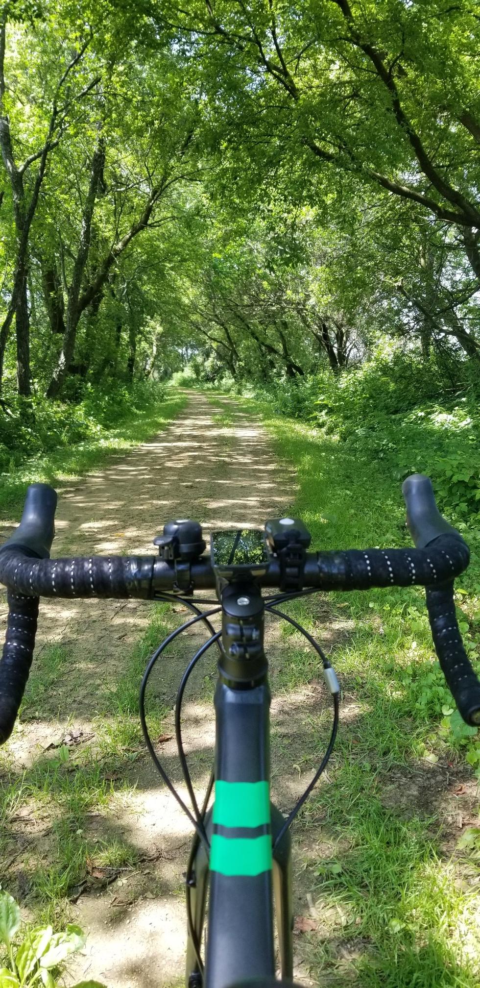 Bike handlebars on a dirt path through a lush green tree tunnel.