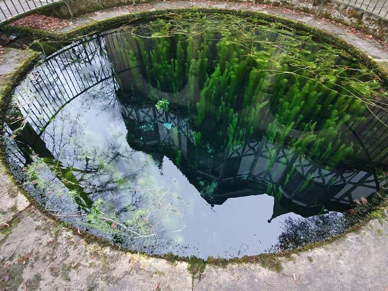Popperöder Quelle Wanderungen und Rundwege komoot