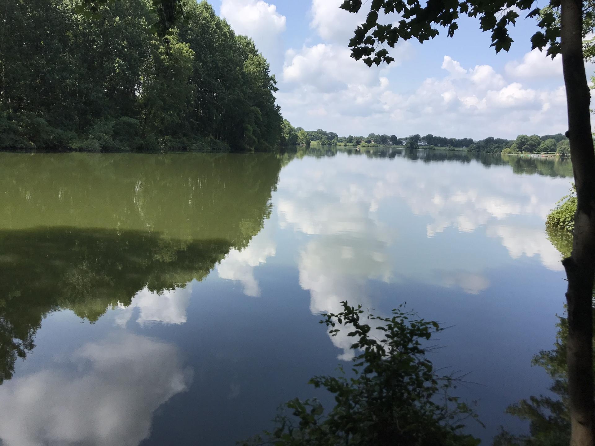 Calm lake reflecting blue sky and white clouds, surrounded by green trees.