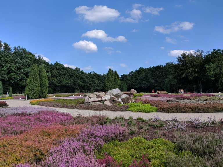 Heidegarten Itinéraires de rando et marche Komoot