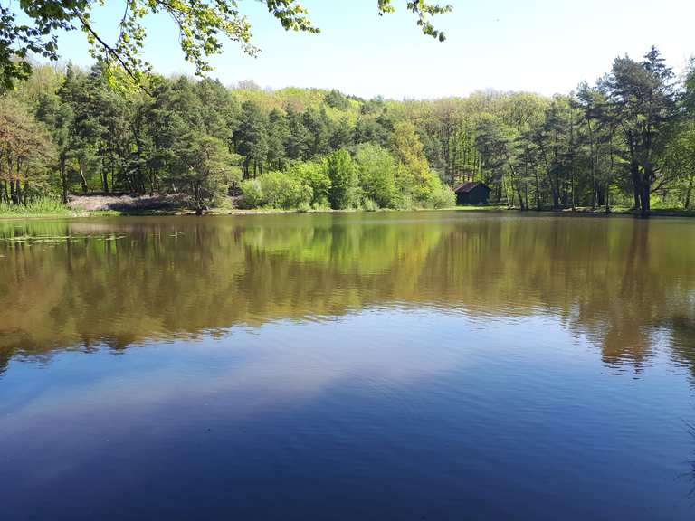 Grünwiesenweiher Routes for Walking and Hiking | Komoot