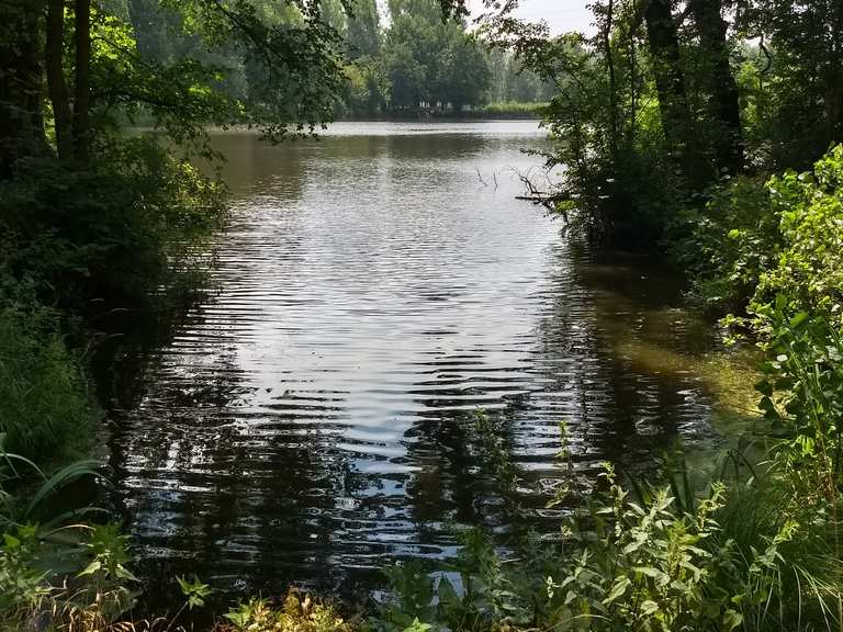 Karpfenteich 3 Wanderungen und Rundwege komoot