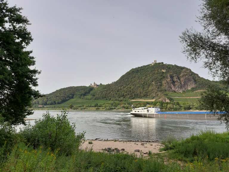 Blick auf den Drachenfels NordrheinWestfalen