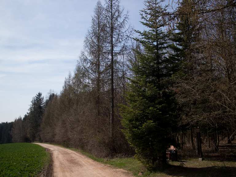 tabakstanne-routes-for-walking-and-hiking-komoot
