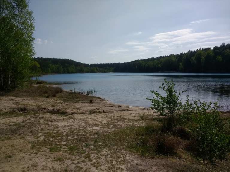 Felixsee : Radtouren und Radwege | komoot