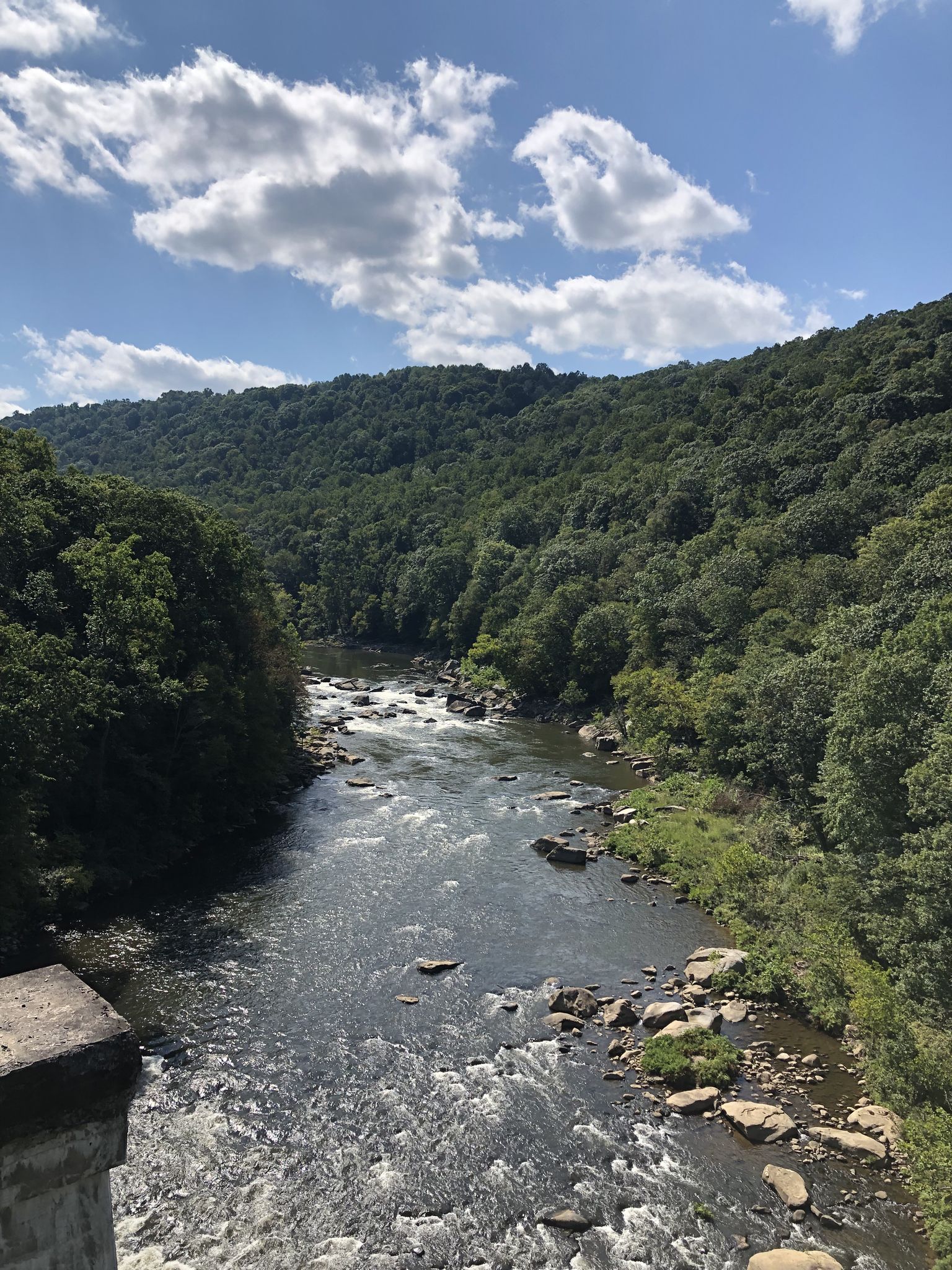A winding river flows through a lush green forested valley under a bright sky. - Great Allegheny Passage