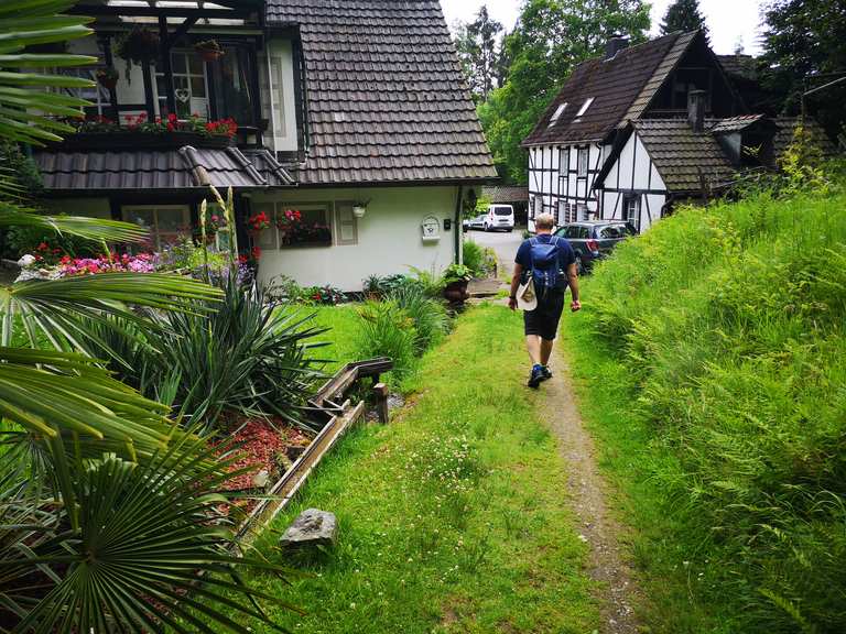 Mühlenweg am Museum Wanderungen und Rundwege komoot