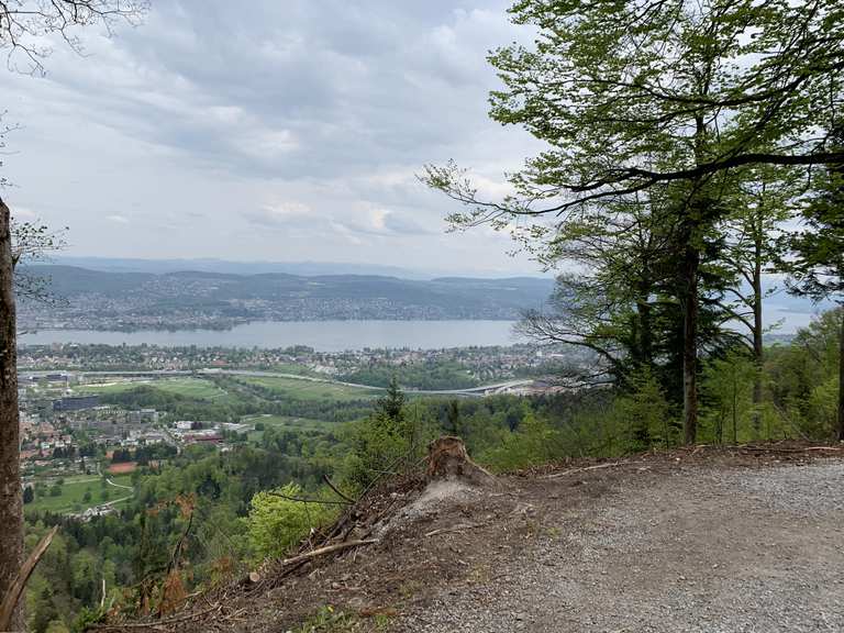 Uetliberg discount bike trail