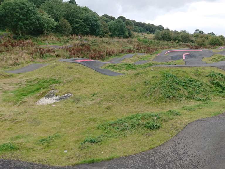 Mountain bike trail Double Dare loop from Alyth mountain bike