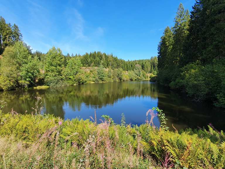 Oberer Spiegeltaler Teich Altenau, Goslar Hiking Tips & Photos Komoot