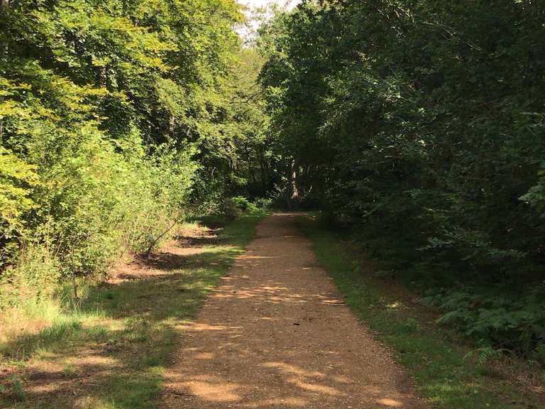 Epping Forest Traverse Cycle Routes and Map | Komoot