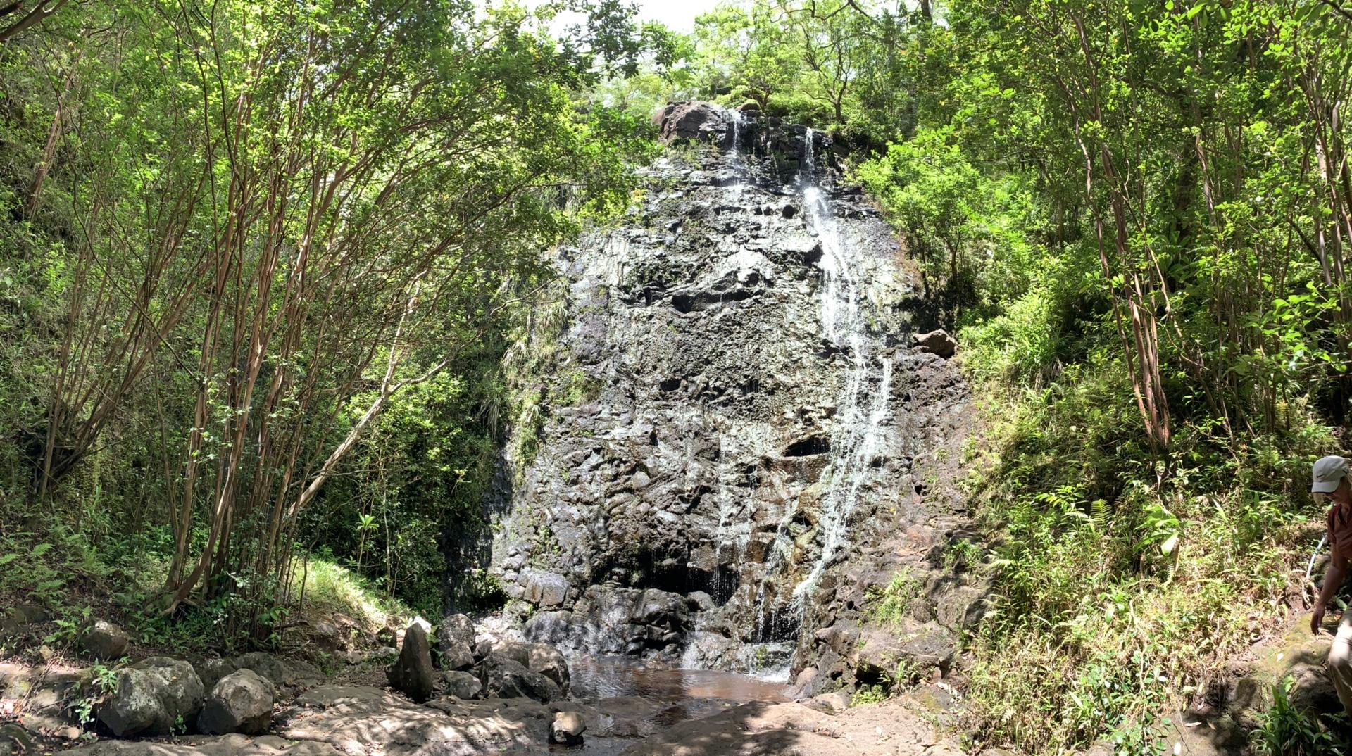 Tall waterfall cascades down a rocky cliff into a pool, lush trees.