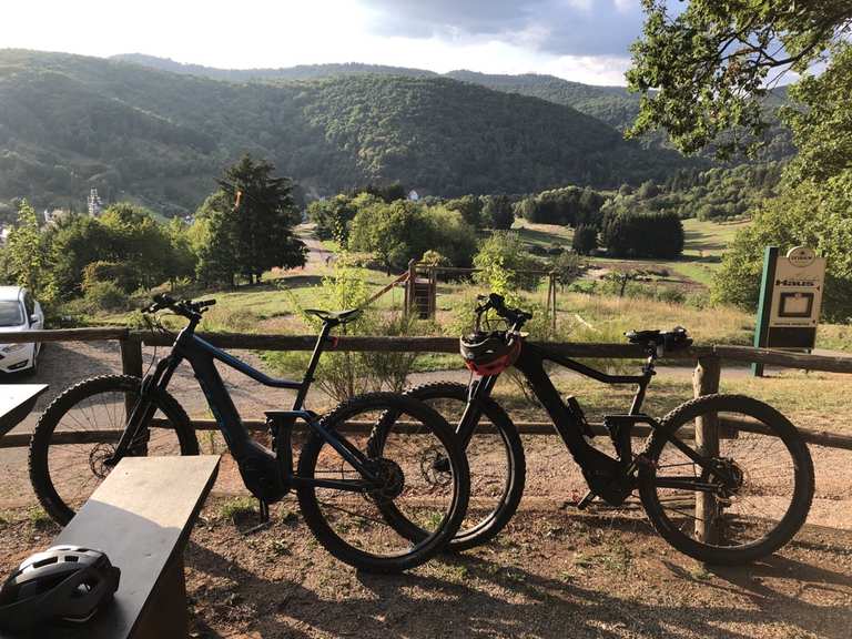 Schöner Trail durch den Wald, mit technischen ...