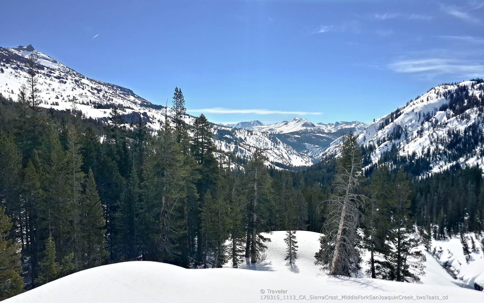 Snowy mountain valley with dense pine forests under a bright blue sky. - River Trail
