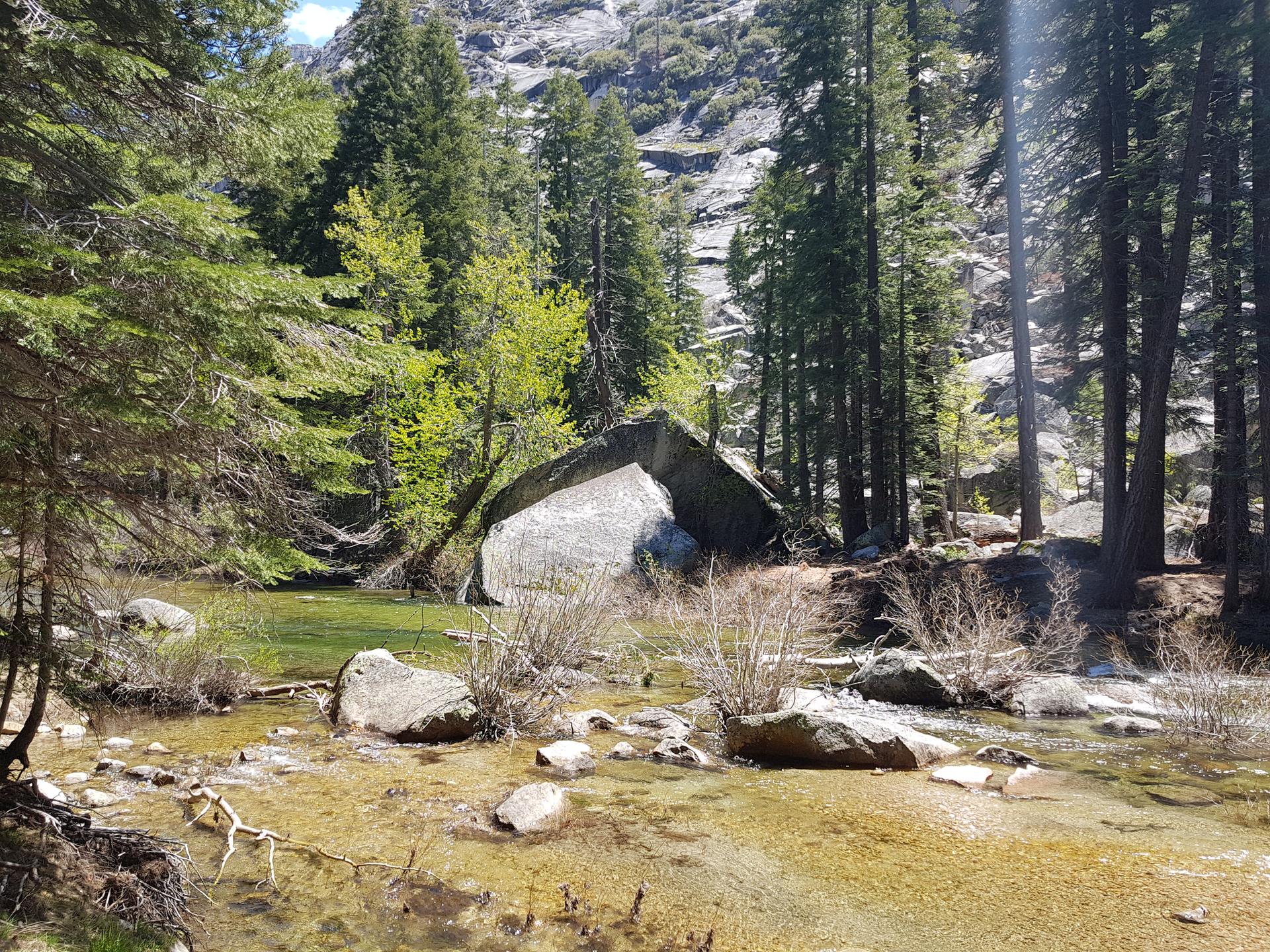 Clear river flowing through a forest with large boulders and green trees. Sunny.