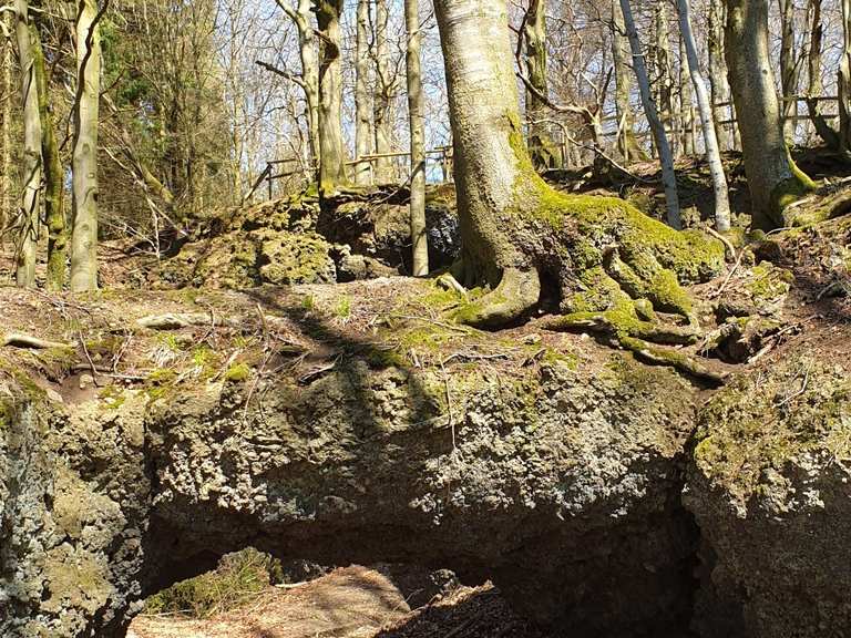 Ernstberg Wanderungen und Rundwege komoot