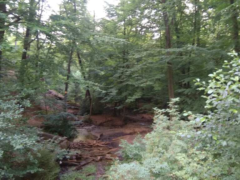Donoper Teich MTBroutes en trails Komoot