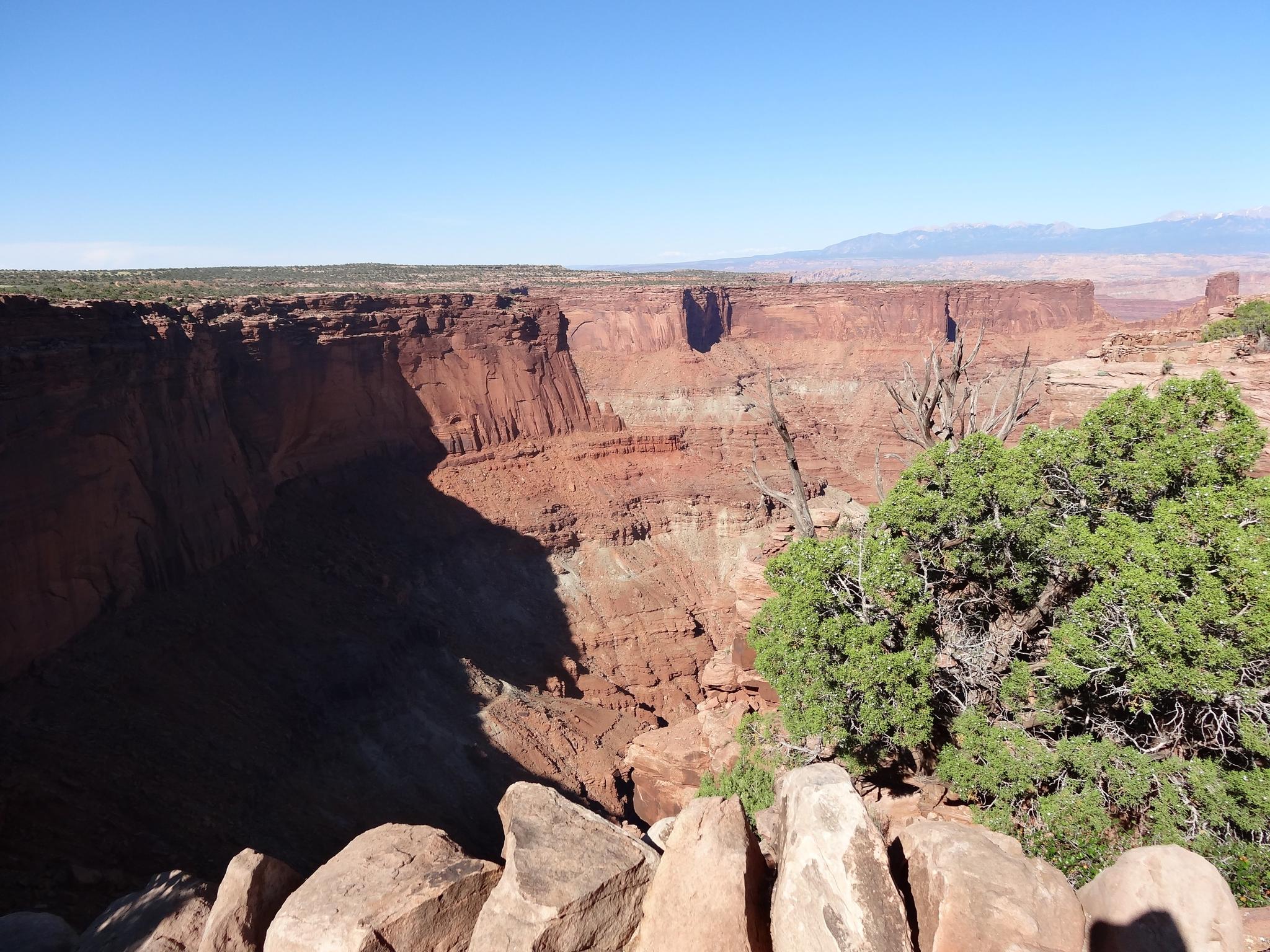 Deep red rock canyon with bright daylight and dark shadows.