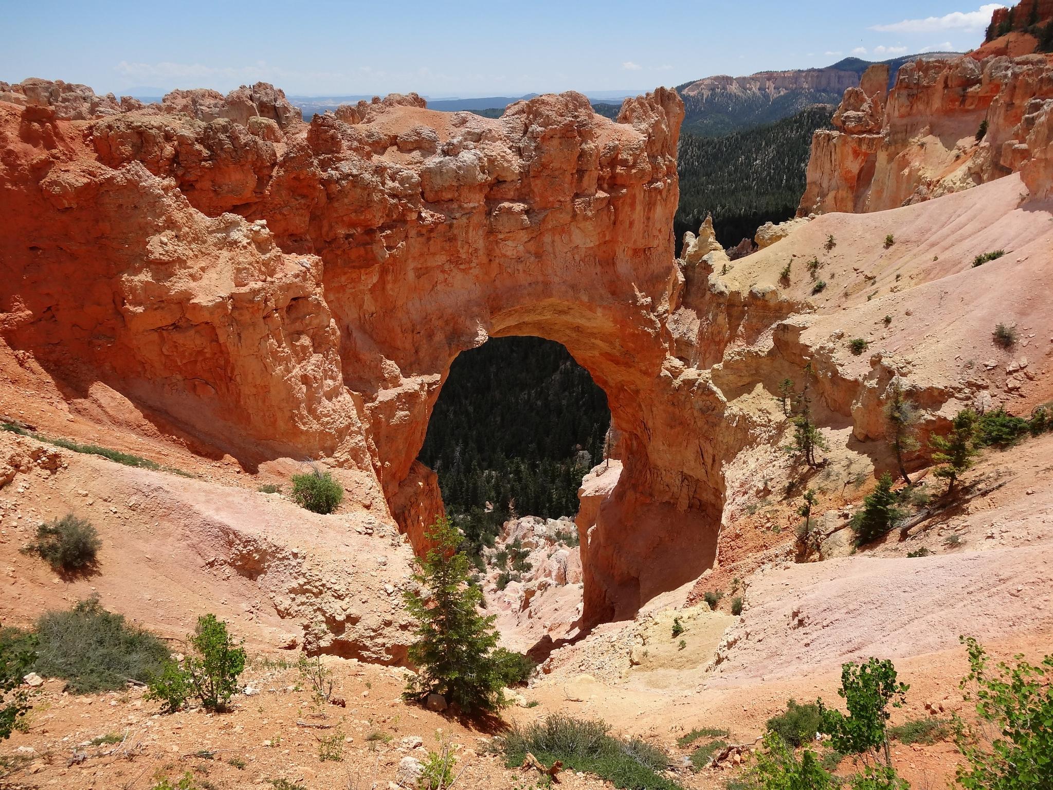Large natural rock arch framing a dark forested canyon.