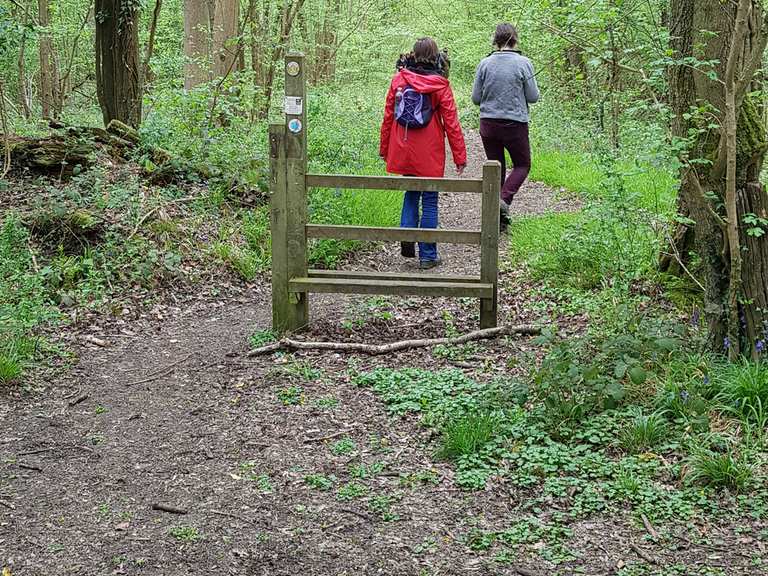 Grafton Woods (Nature Reserve) Routes for Walking and Hiking Komoot