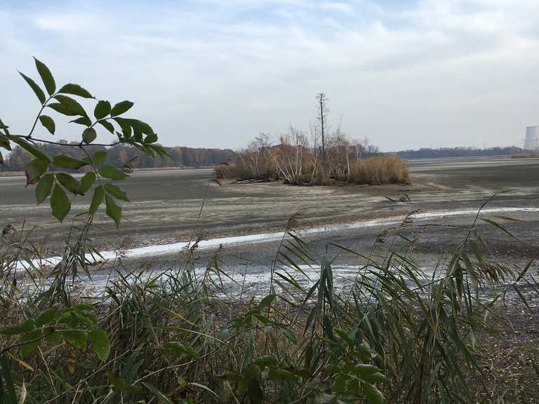 Peitzer Teiche Wanderungen und Rundwege komoot